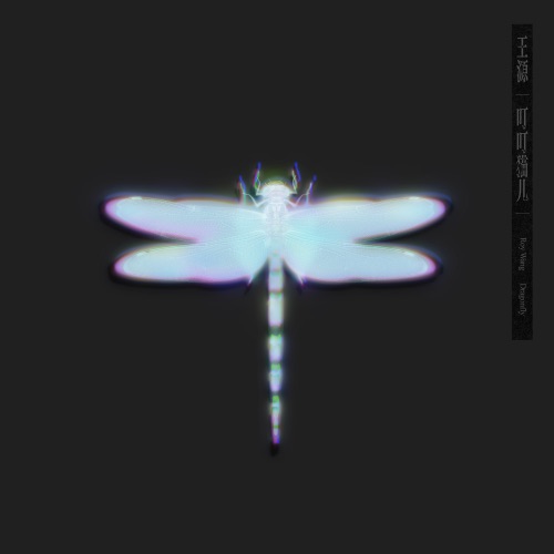 叮叮猫儿 – Single – 王源-无损音乐