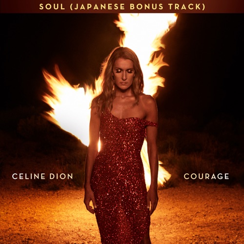 Soul (Japanese Bonus Track) – Single – Céline Dion-无损音乐