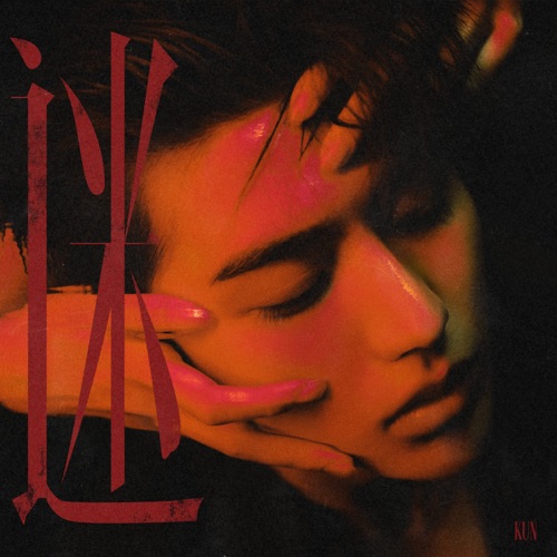 迷 – 蔡徐坤-无损音乐
