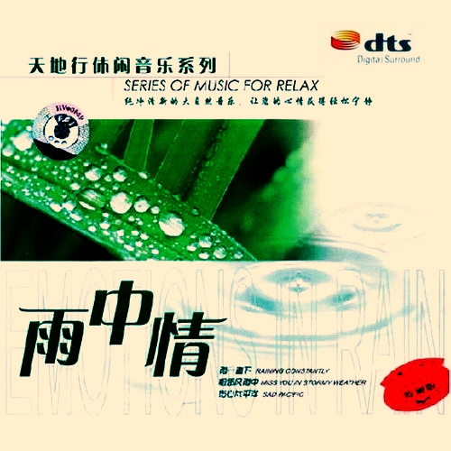 雨中情 – 群星 [5.1声道]-无损音乐