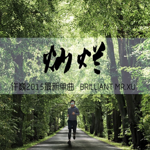 灿烂 – Single – 许巍-无损音乐