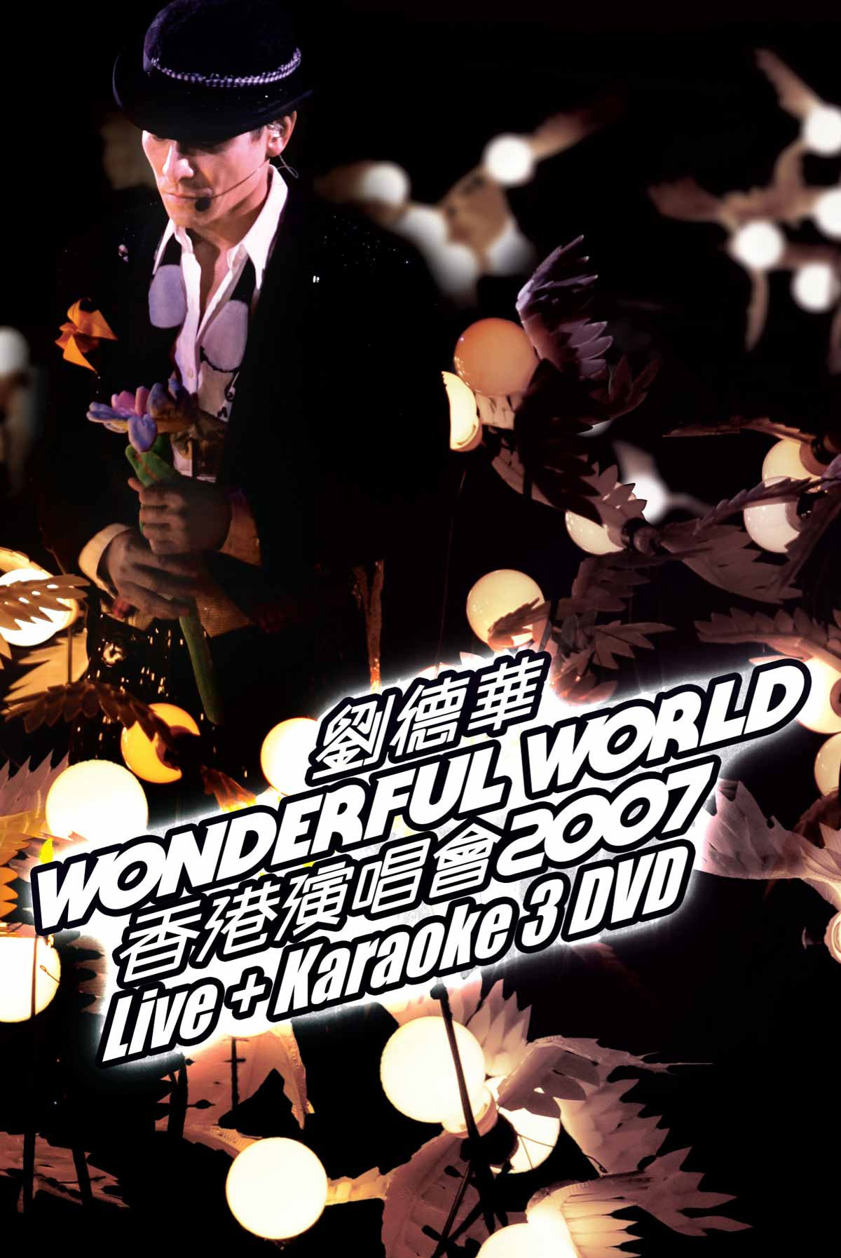 《刘德华 Wonderful World 香港演唱会 卡拉OK 3DVD》 2007 演唱会 [DVD ISO 19.74GB]