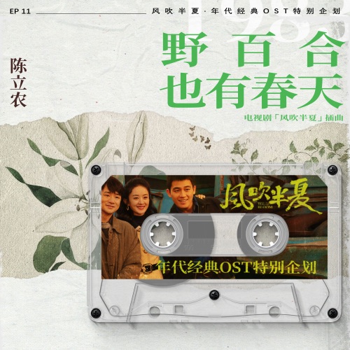 野百合也有春天 (《风吹半夏》年代经典OST特别企划) – Single – 陈立农-无损音乐