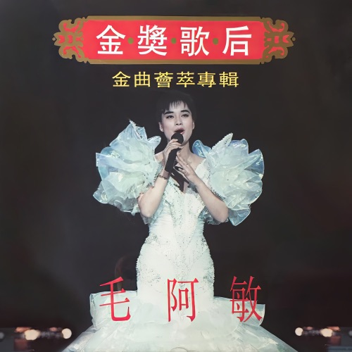 金奖歌后 – 毛阿敏-无损音乐