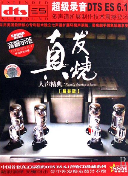 真发烧人声精典 – 群星 [6.1声道]-无损音乐