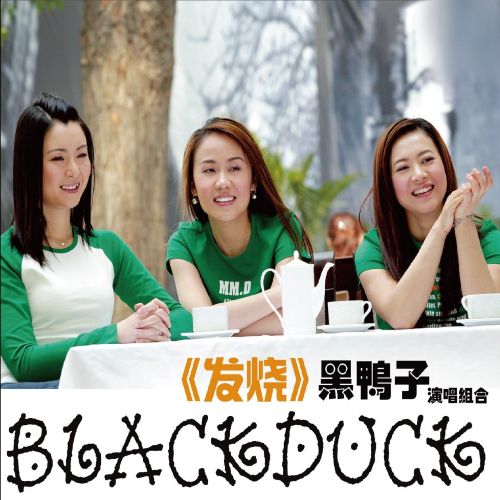 黑鸭子发烧碟 DTS – 黑鸭子演唱组 [5.1声道]-无损音乐