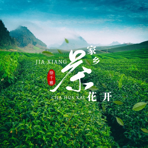 家乡茶花开 – Single – 徐千雅-无损音乐