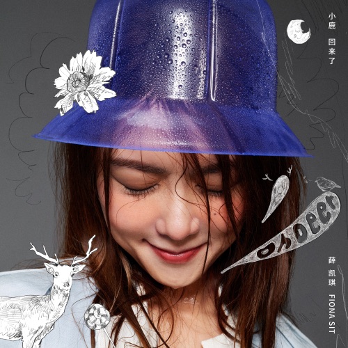 小鹿回来了 – Single – 薛凯琪-无损音乐