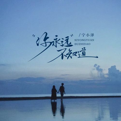 宁小泽、顾焕gkuank 《你永远不知道 – 宁小泽、顾焕gkuank》 Hi-Res无损专辑 [FLAC 分轨]-无损音乐