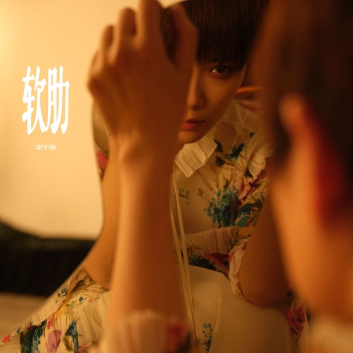 软肋 – Single – 李宇春-无损音乐