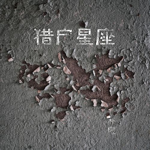 朴树 《猎户星座 – 朴树》 Hi-Res无损专辑 [FLAC 分轨]-无损音乐
