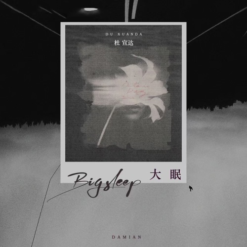 大眠 – Single – 杜宣达-无损音乐