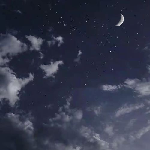 刘紫玲 风花雪月-无损音乐