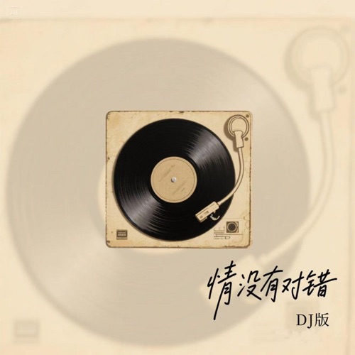 情没有对错 (DJ版) – Single – 孙悦-无损音乐