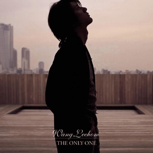 The Only One – 王力宏-无损音乐