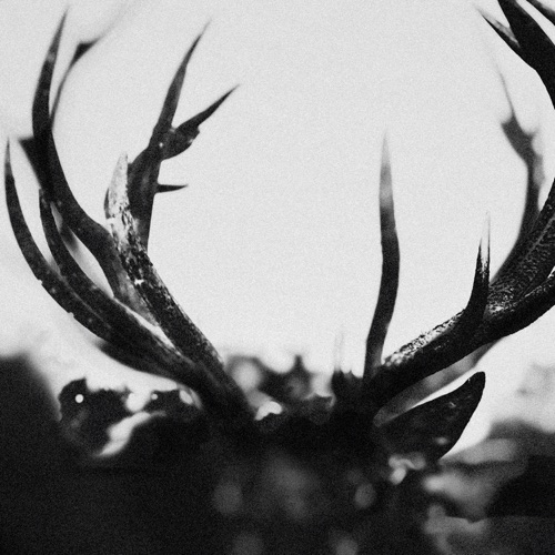 Ihsahn – Ihsahn-无损音乐