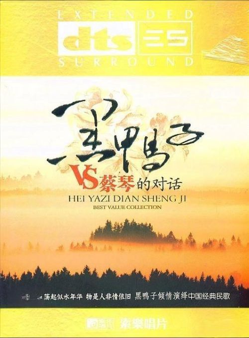 黑鸭子Vs蔡琴的对话 – 群星 [5.1声道]-无损音乐