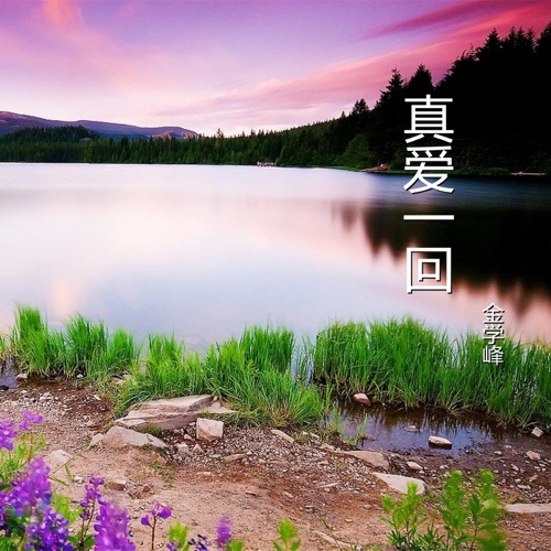 真爱一回 – Single – 金学峰-无损音乐