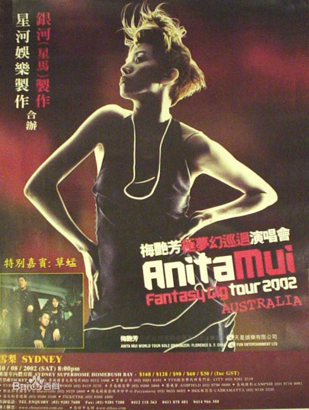 《梅艳芳 极致梦幻演唱会 Anita Mui Fantasy Gig》 2002 演唱会 [2DVD ISO 13.29G]