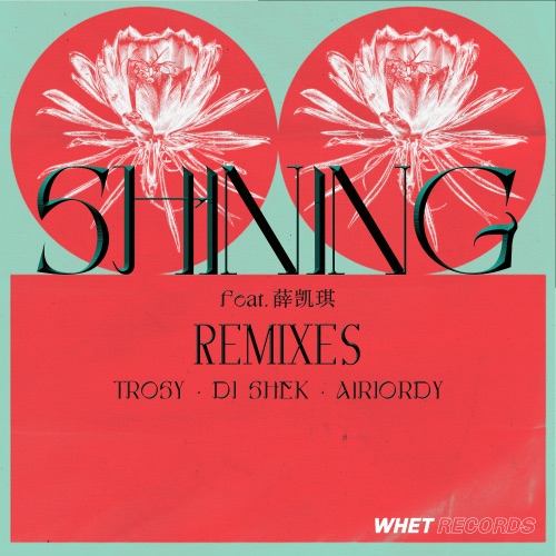 Shining (feat. 薛凯琪) [Remixes] – Single – Lizzy Wang-无损音乐
