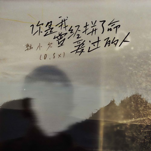 你是我曾经拼了命爱过的人 (0.8x倍速版) – Single – 韓小欠-无损音乐