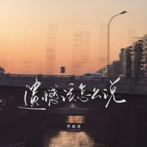 罗森涛 遗憾该怎么说-无损音乐