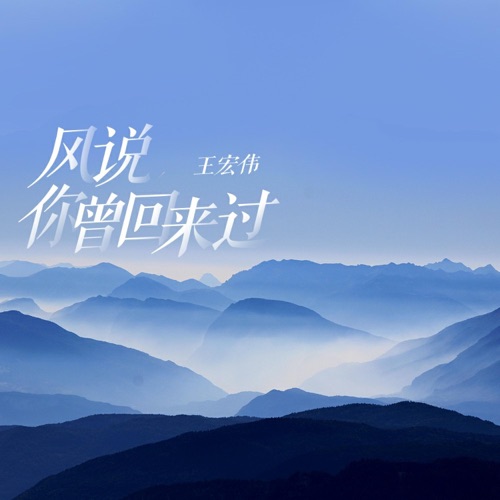 风说你曾回来过 – Single – 王宏伟-无损音乐