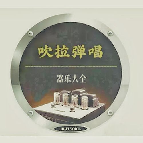 顶级乐器测试试音天碟《HIFI极品测试Ⅶ·吹拉弹器乐大全》 – 巫娜古琴 [6.1声道]-无损音乐