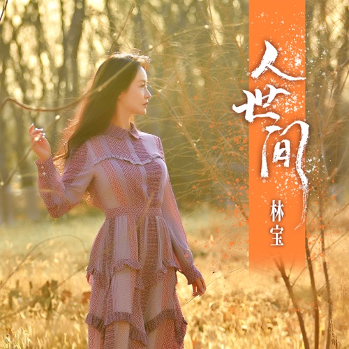 人世间 – Single – 林宝-无损音乐