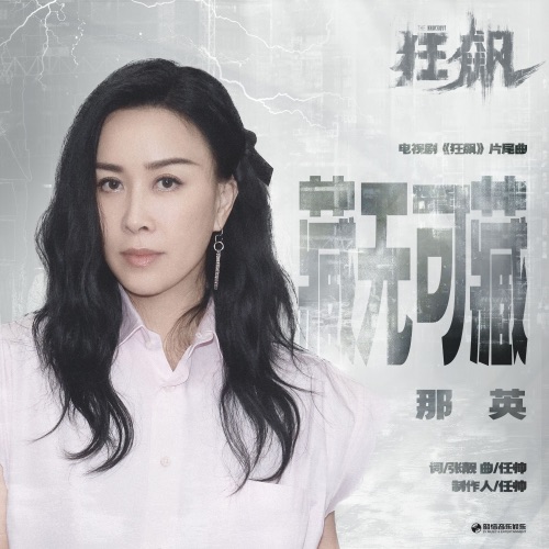 藏无可藏 (电视剧《狂飙》片尾曲) – Single – 那英-无损音乐