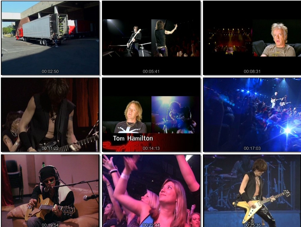 Aerosmith. 《..空中铁匠、史密斯飞船演唱会》 演唱会 [DVD-ISO]