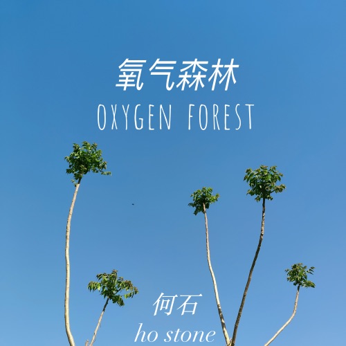 氧气森林 – Single – 何石-无损音乐