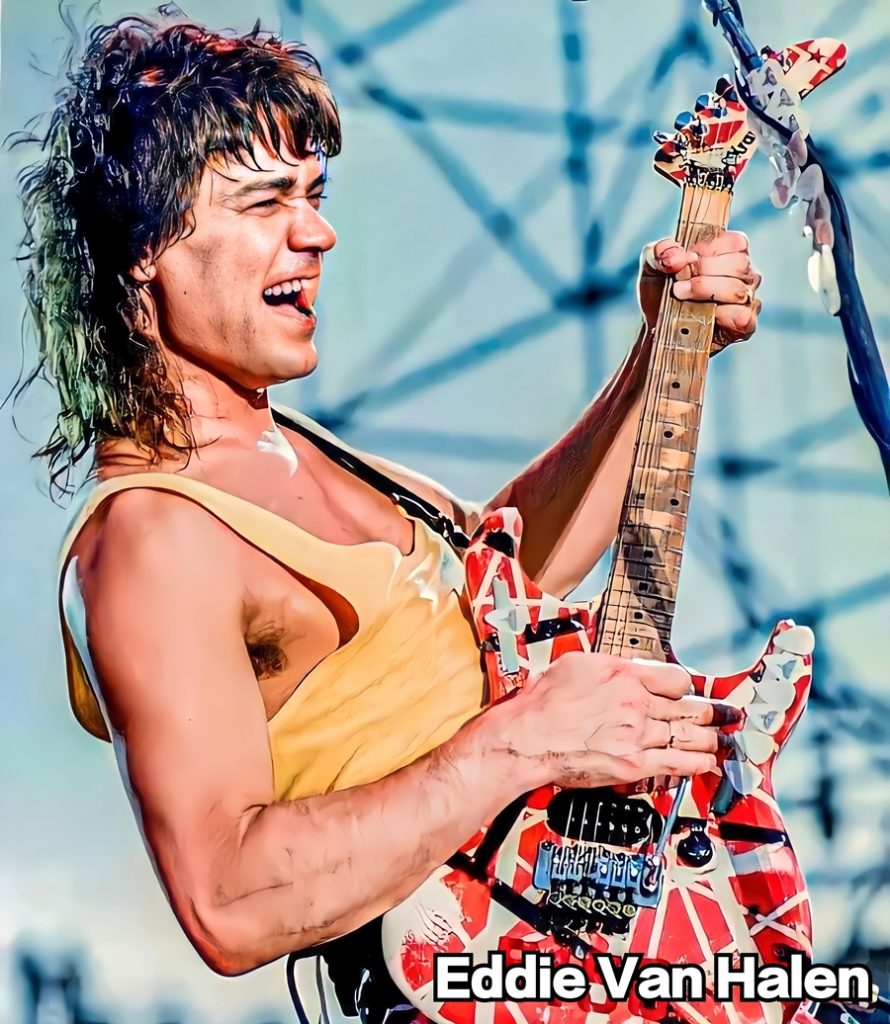 范海伦大合集/Van Halen/Live/MV/（24DVD 《ISO153.66GB》 演唱会 [24DVD-ISO153.66GB]