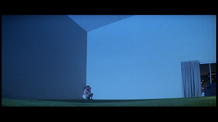 《平克·弗洛伊德 迷墙 摇滚音乐电影 Pink Floyd: The Wall Movie》 1982 演唱会 [DVD ISO 7.35G]