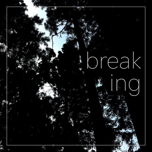 Breaking – Single – 杨彤-无损音乐