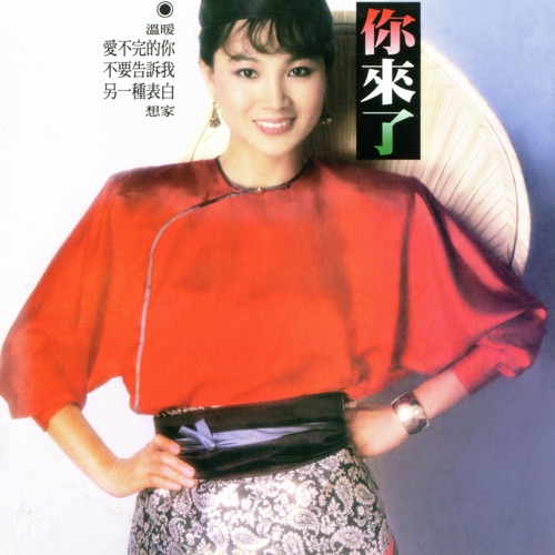 你来了 – 凤飞飞-无损音乐