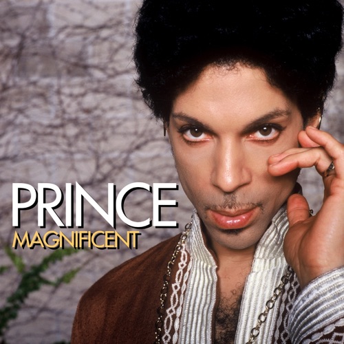 Magnificent – Single – PRINCE-无损音乐