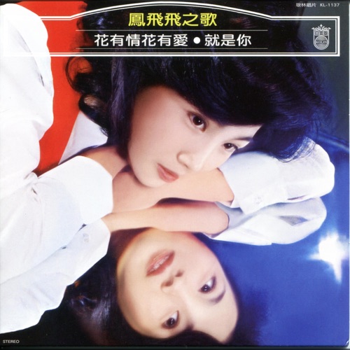 花有情花有爱 – 凤飞飞-无损音乐