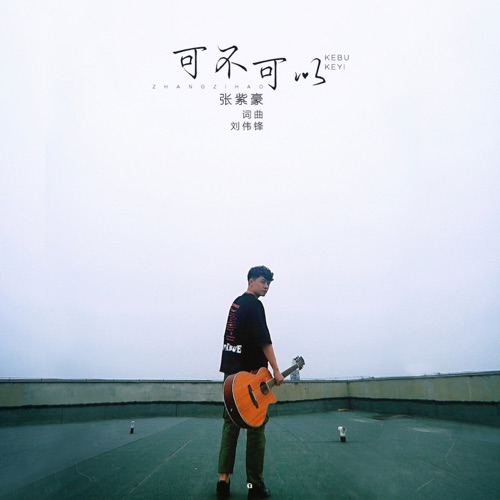 可不可以 (抖音热歌) – Single – 张紫豪-无损音乐
