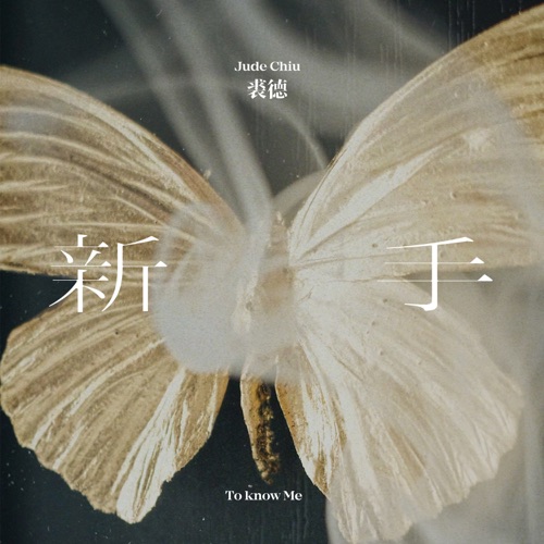 新手 – Single – 裘德-无损音乐