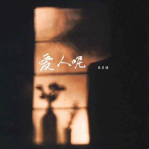 苏星婕 苏星婕单曲合集【85曲】-无损音乐