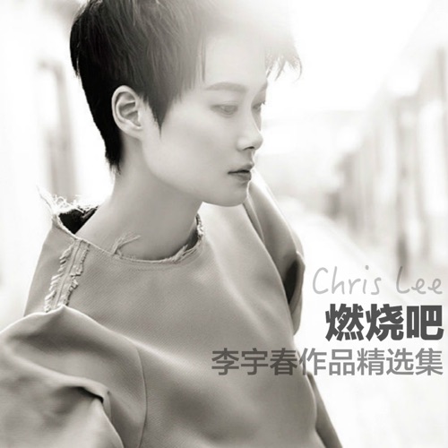 燃烧吧-李宇春作品精选集 – 李宇春-无损音乐