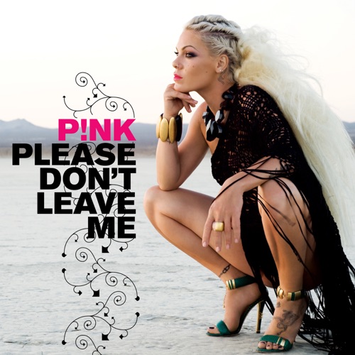 Please Don’t Leave Me – Single – P!nk-无损音乐
