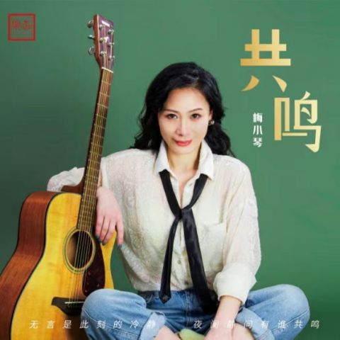 共鸣 – 梅小琴-无损音乐