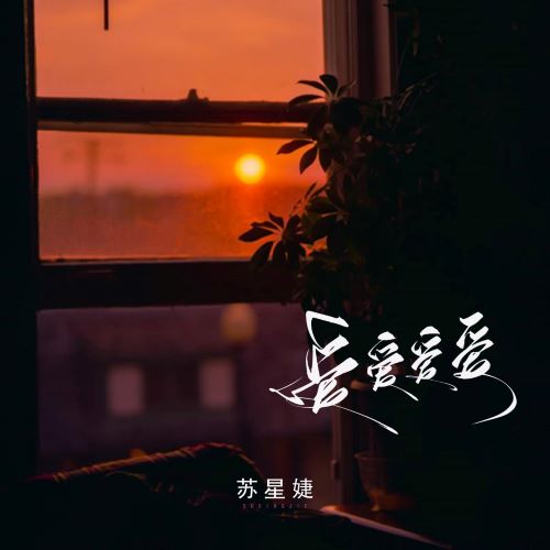 苏星婕 《苏星婕单曲合集24bit-48khz【661曲】》 Hi-Res无损专辑-无损音乐