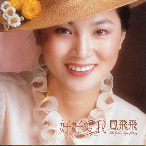 好好爱我 (2009年Remix版) – 凤飞飞-无损音乐