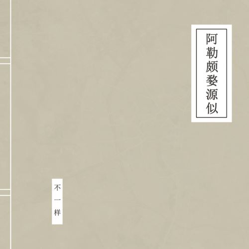 窦唯 & 不一样乐队 阿勒颇婺源似-无损音乐/蓝光演唱会