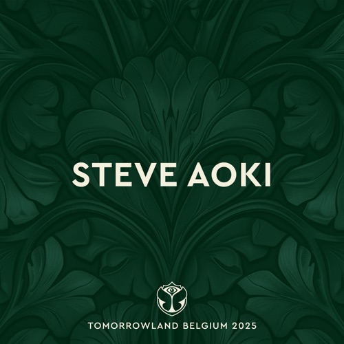 Tomorrowland Belgium 2025: Steve Aoki at Mainstage, Weekend 2 (DJ Mix) – Steve Aoki-无损音乐