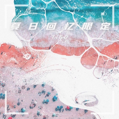 夏日回忆限定 – Single – TIGO-无损音乐
