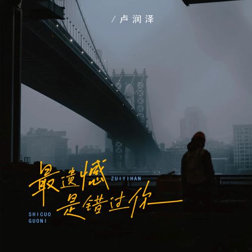 卢润泽单曲合辑-无损音乐